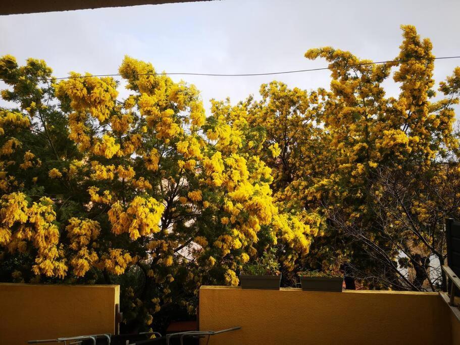 Appartement Proche Mer Avec Terrasse Et Jardin Privatif Hyeres Bagian luar foto