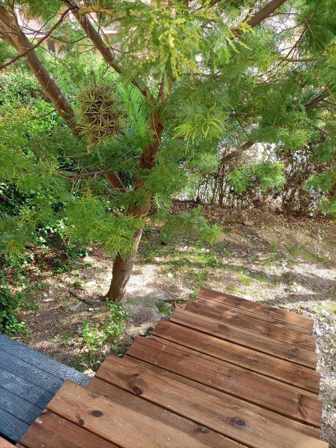Appartement Proche Mer Avec Terrasse Et Jardin Privatif Hyeres Bagian luar foto
